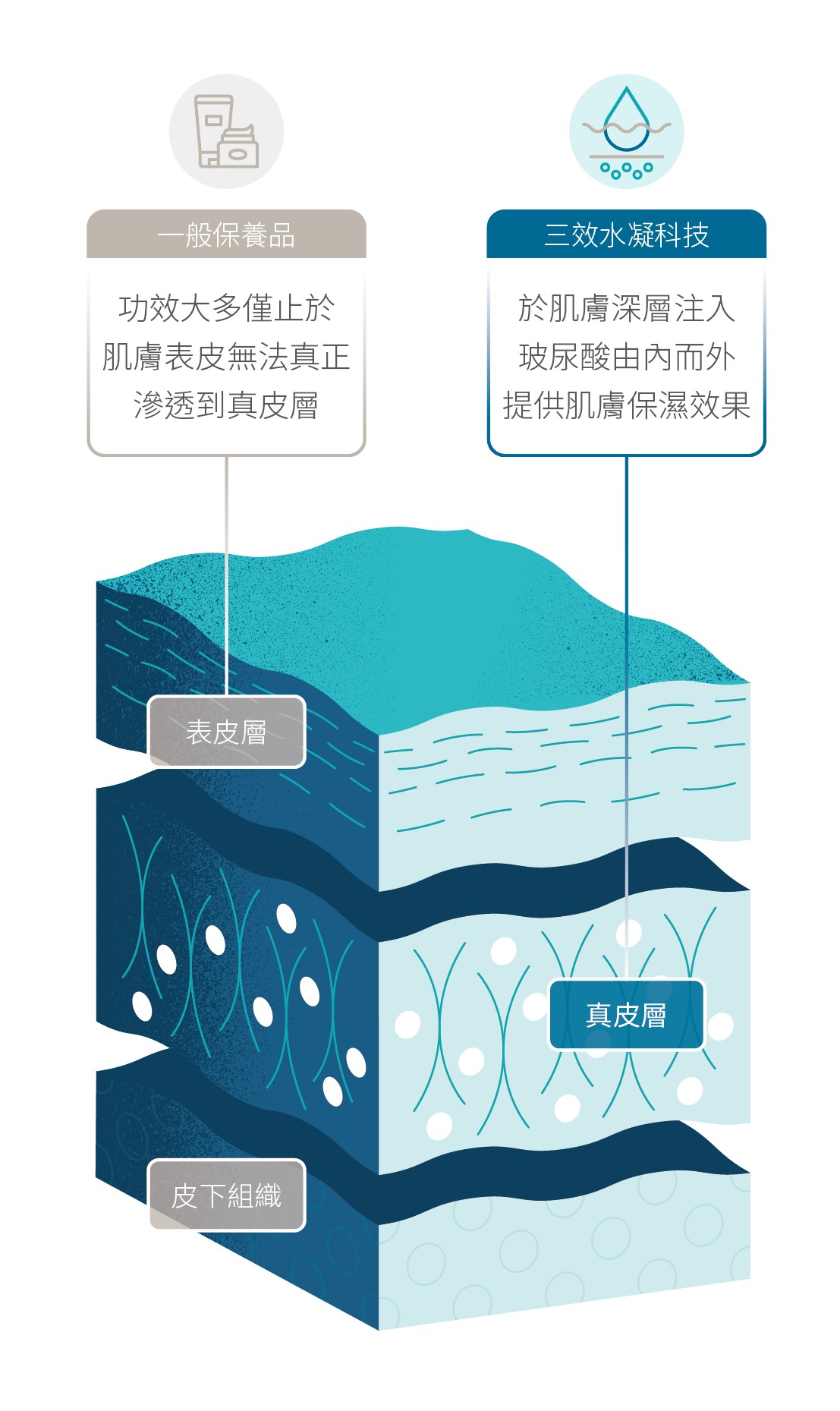 line_oa_chat_260601_092018